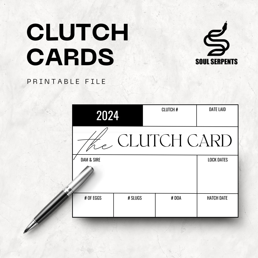 Digital Clutch Card (Print It Yourself)